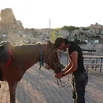 Crazy Horse 3*