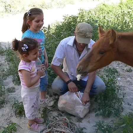 招待所 Crazy Horse