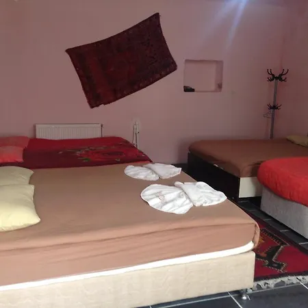 Crazy Horse 招待所 3*