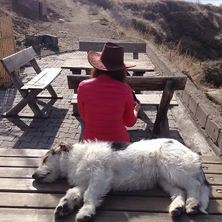 Crazy Horse 招待所