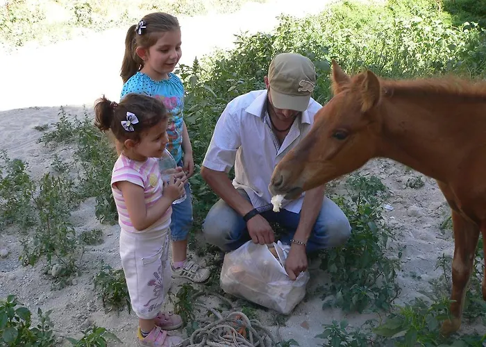 Gasthuis Crazy Horse